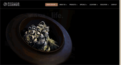 Desktop Screenshot of nevadapure.com